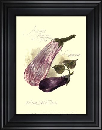 Framed Aubergine Eggplant Print