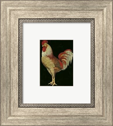 Framed Single Rooster (IP) II Print