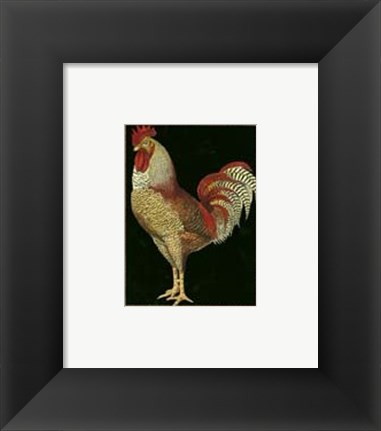 Framed Single Rooster (IP) II Print