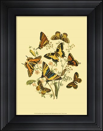 Framed Small Butterfly Gathering I Print