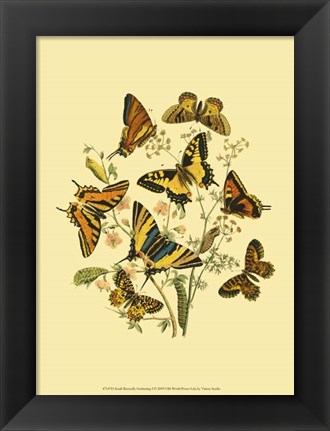 Framed Small Butterfly Gathering I Print