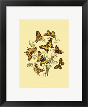 Framed Small Butterfly Gathering I Print
