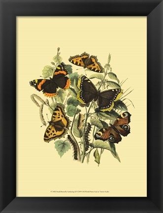 Framed Small Butterfly Gathering II Print