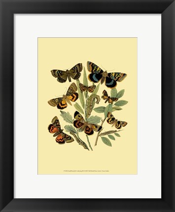 Framed Small Butterfly Gathering III Print