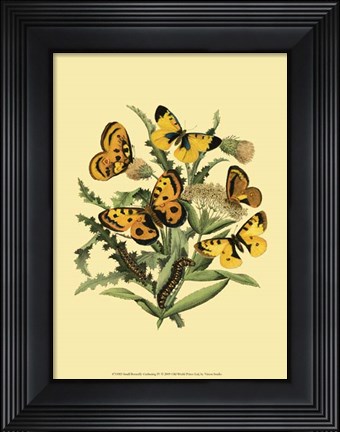Framed Small Butterfly Gathering IV Print