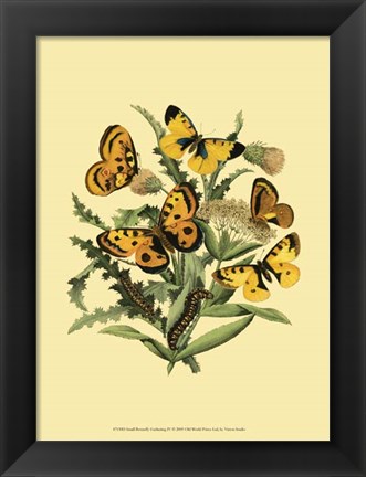 Framed Small Butterfly Gathering IV Print