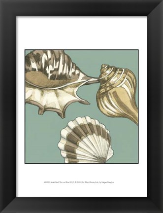 Framed Small Shell Trio on Blue III (P) Print