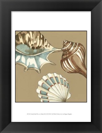 Framed Small Shell Trio on Khaki III (P) Print