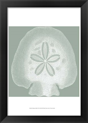 Framed Seabreeze Shells I (P) Print