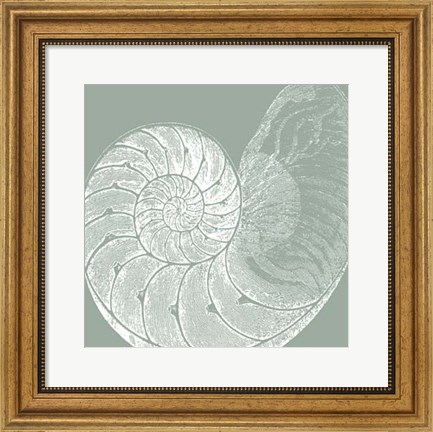 Framed Seabreeze Shells IV (P) Print