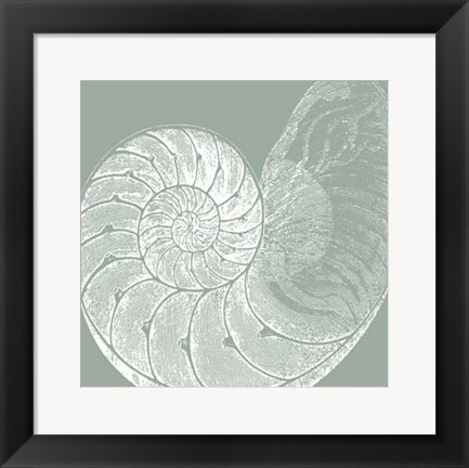 Framed Seabreeze Shells IV (P) Print