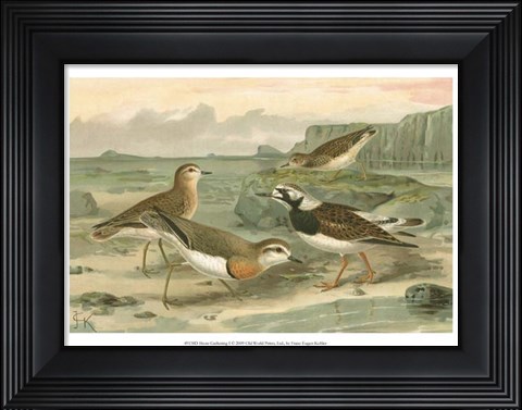 Framed Shore Gathering I Print