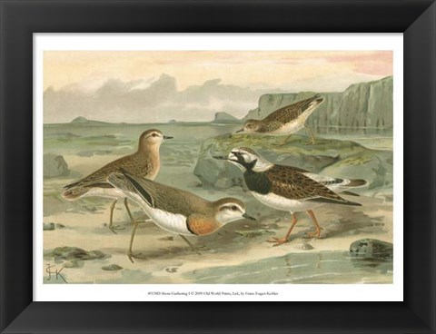 Framed Shore Gathering I Print