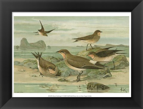 Framed Shore Gathering V Print