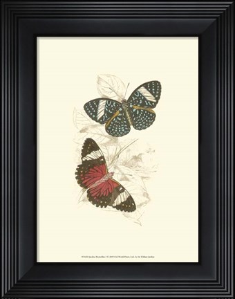 Framed Butterflies I Print