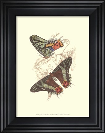 Framed Butterflies IV Print