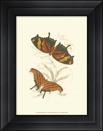 Framed Butterflies V Print