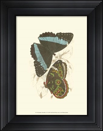 Framed Butterflies VI Print