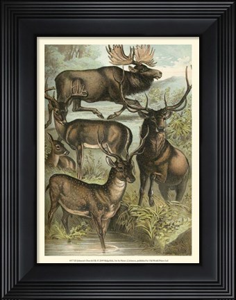 Framed Johnson&#39;s Deer &amp; Elk Print