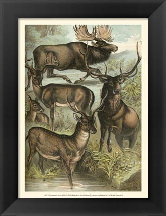Framed Johnson&#39;s Deer &amp; Elk Print