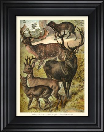 Framed Johnson&#39;s Deer Print