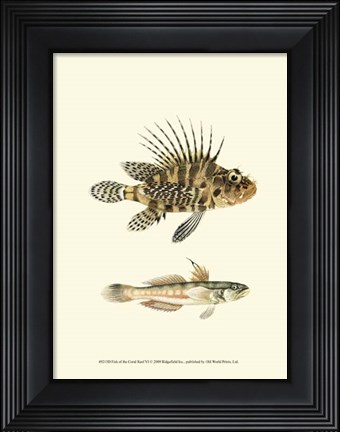 Framed Fish of the Coral Reef VI Print
