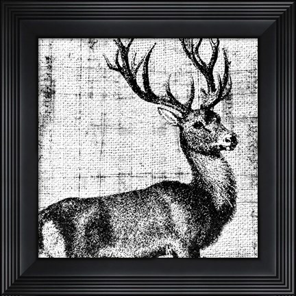 Framed Northwest Territory I Print