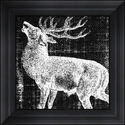 Framed Northwest Territory II Print