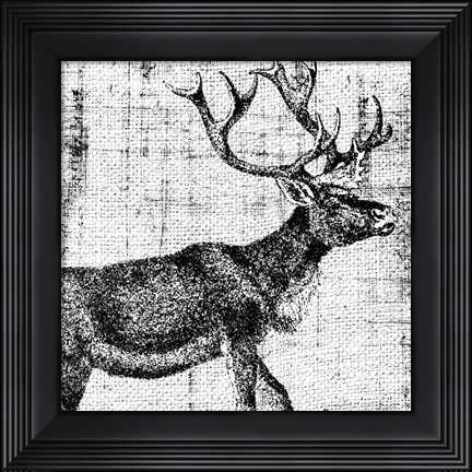 Framed Northwest Territory III Print