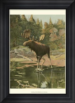 Framed Moose Print