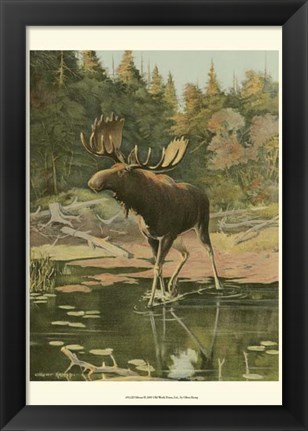 Framed Moose Print