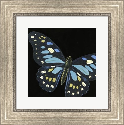 Framed Small Dramatic Butterflies II Print