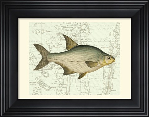 Framed Freshwater I Print