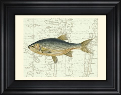 Framed Freshwater II Print
