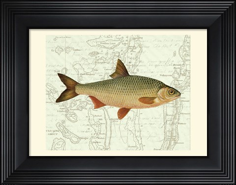 Framed Freshwater III Print