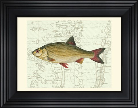 Framed Freshwater IV Print