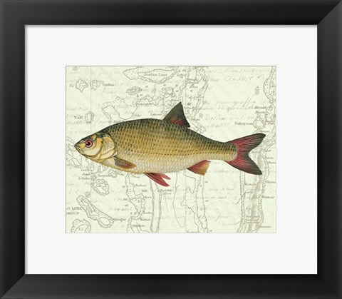 Framed Freshwater IV Print
