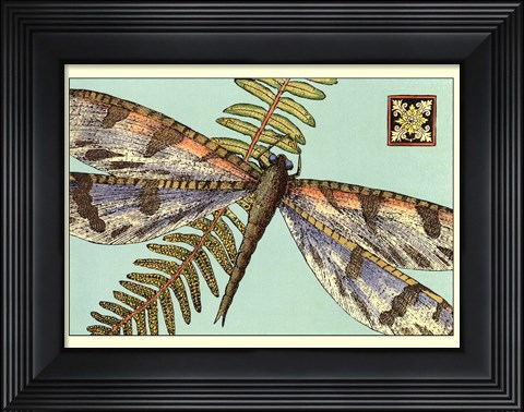 Framed Dragonfly on Aqua I Print