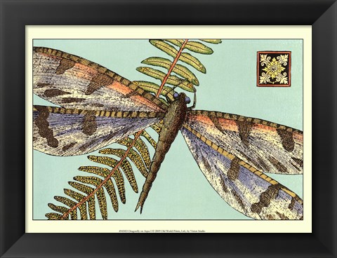 Framed Dragonfly on Aqua I Print