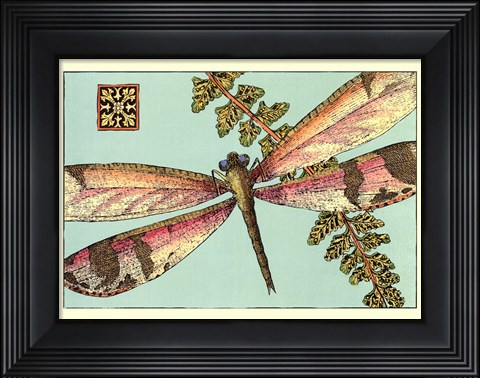 Framed Dragonfly on Aqua II Print