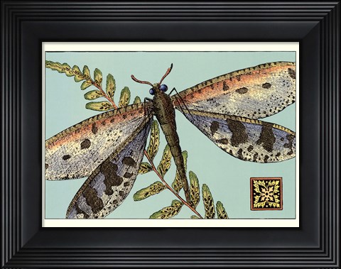 Framed Dragonfly on Aqua III Print