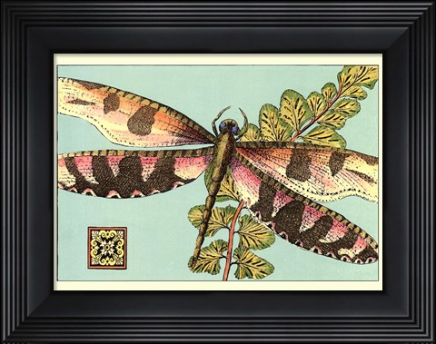 Framed Dragonfly on Aqua IV Print