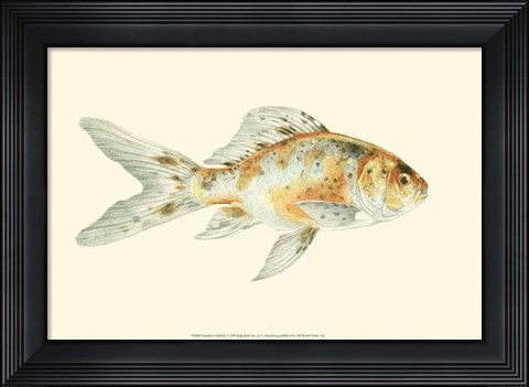 Framed Speckled Goldfish Print