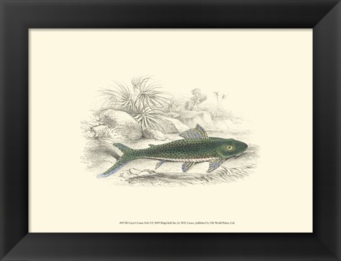 Framed Lizars&#39; Game Fish I Print