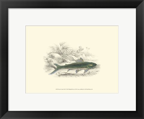 Framed Lizars&#39; Game Fish I Print