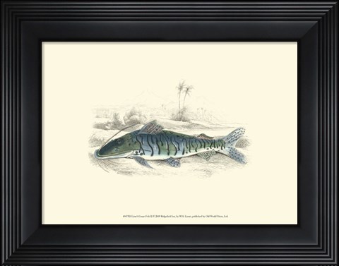 Framed Lizars' Game Fish II Print