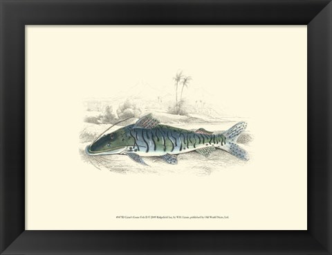 Framed Lizars&#39; Game Fish II Print