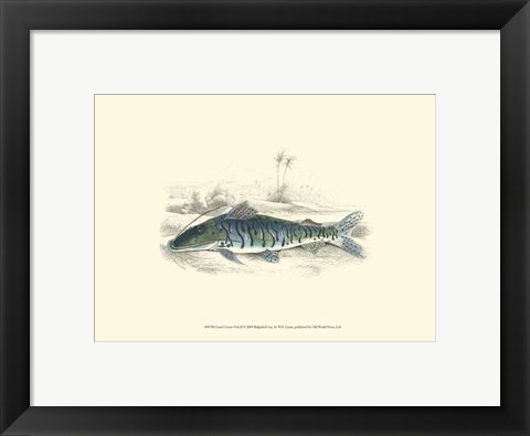 Framed Lizars&#39; Game Fish II Print