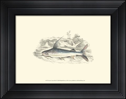 Framed Lizars' Game Fish IV Print