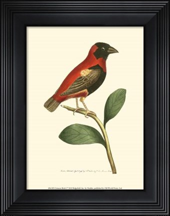 Framed Crimson Birds I Print